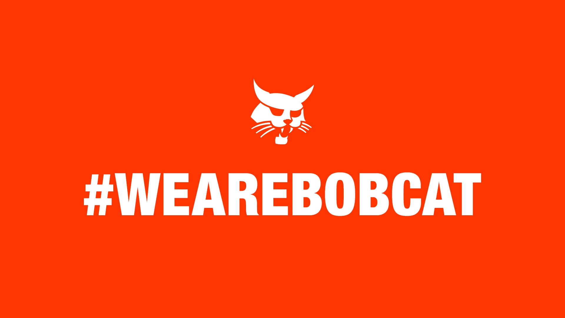 Breaking New Ground with Bobcat